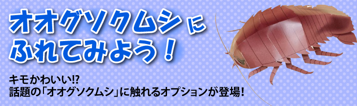 イベントの新しいアイテムグソクムシ