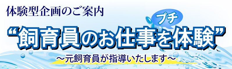 イベントの新しいアイテム移動水族館