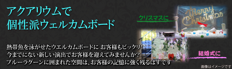 ウェルカムボード水槽